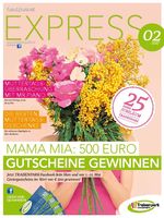 Traisenpark Express #2 2017
